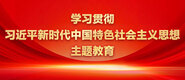 鸡吧操逼视频网站学习贯彻习近平新时代中国特色社会主义思想主题教育_fororder_ad-371X160(2)